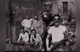 BuzzFeed's Ruining History: The Adorable Bear That Served In WWII