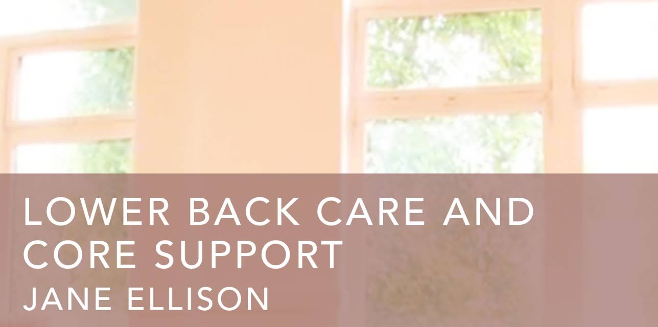 Lower Back Care and Core Support (2010)