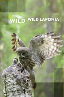 17:05: Wild Laponia | Nat Geo Wild | 4/2 2026