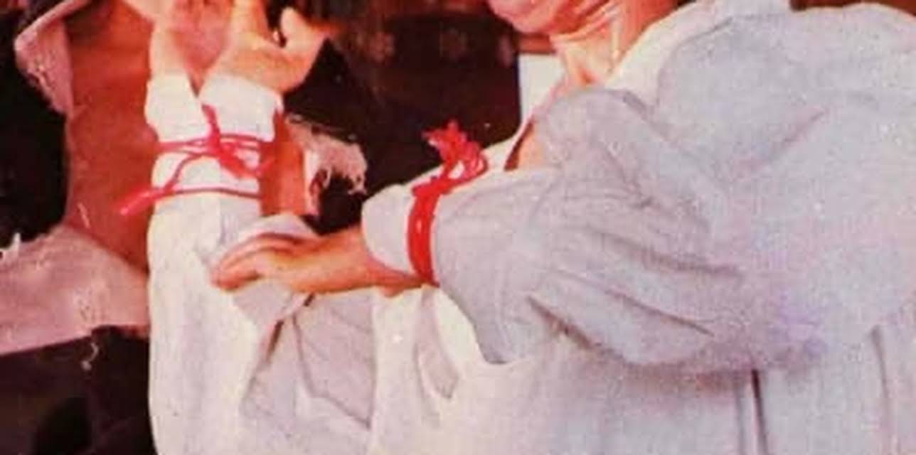 Dragon From Shaolin (1978)