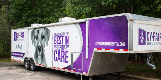 10:20: The Vet Life (S2 E9) (S2) | Animal Planet | 12/15 2025