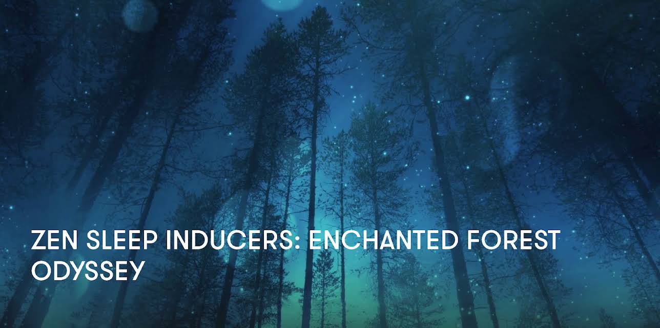 Zen Sleep Inducers: Enchanted Forest Odyssey (2024)