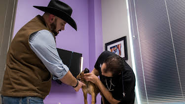 13:05: The Vet Life (S2 E11) (S2) | Animal Planet | 5/27 2026