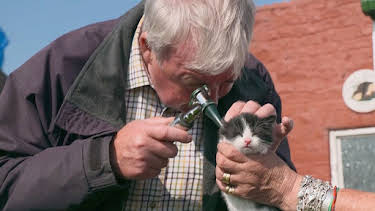 10:00 AM: The Yorkshire Vet (S11 E7) (S11) | 5 Select | 2/27 2026