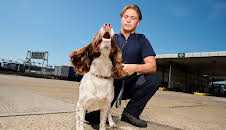 New: Dover 24/7: Britain's...