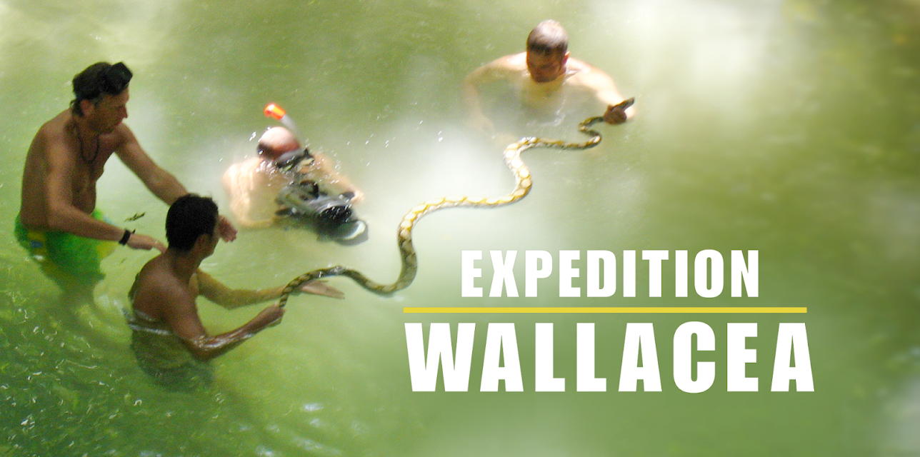 Expedition Wallacea (2007)