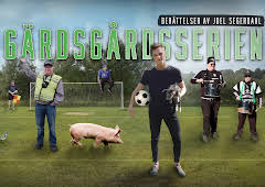 Gärdsgårdsserien