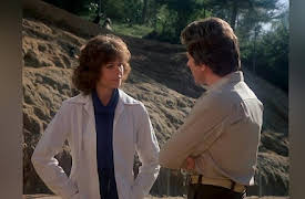 The Incredible Hulk Season 1: The Beast Within