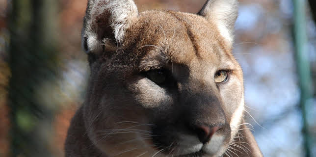 13:50: Nashorn, Zebra & Co. (140) | WDR Fernsehen | 12/8 2025