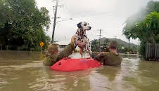 World's Deadliest Weather: Caught on Camera (S3 E12)
