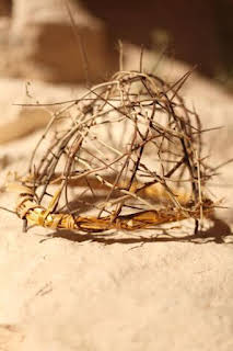 00:45: Expedientes misterio de la Antigüedad: La sábana santa | National Geographic | 12/26 2025