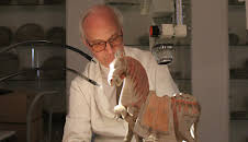 Hvordan gjør de det? (S14 E5)