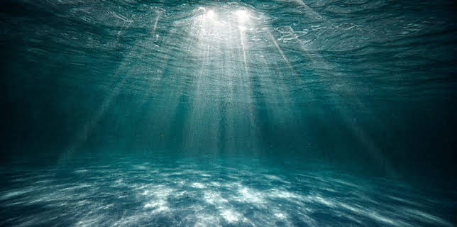 8:00 PM: The Bermuda Triangle: Beneath the Waves | BBC Four | 1/21 2026