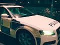Police Interceptors