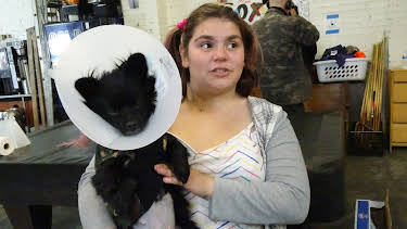 12:15: Dr. Jeff: Rocky Mountain Vet (S4 E1) (S4) | Animal Planet | 2/1 2026