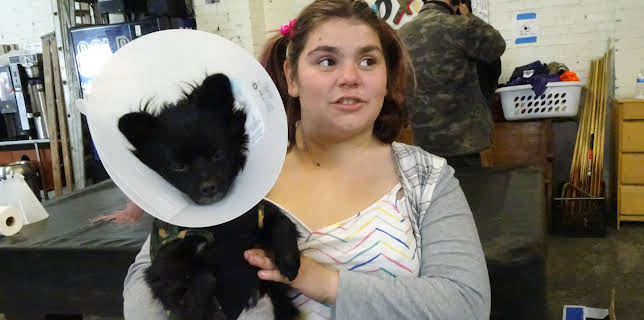 10:20: Dr. Jeff: Rocky Mountain Vet (S4 E1) (S4) | Animal Planet | 11/30 2025