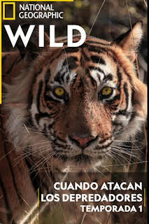 00:20: Cuando atacan los depredadores: Superserpientes | Nat Geo Wild | 3/30 2026