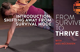 From Survive to Thrive: Practices for Everyday Wellness: Introduction: Shifting Away from Survival Mode