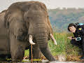 Andys ville vasseventyr: Andy og dei afrikanske elefantane
