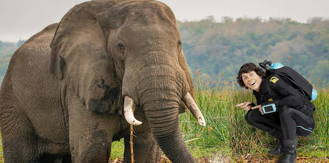 10:45: Andys ville vasseventyr: Andy og dei afrikanske elefantane | NRK Super | 11/28 2025
