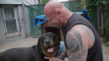 20:00: Guardians of Rescue (S1 E4) (S1) | Animal Planet | 9/17 2026