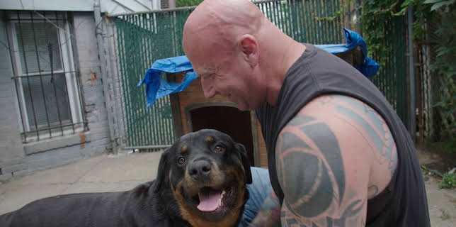 20:00: Guardians of Rescue (S1 E4) (S1) | Animal Planet | 3/12 2026