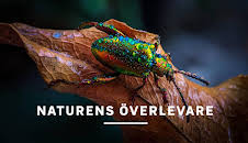Naturens överlevare
