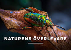 Naturens överlevare