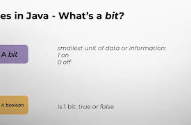 Learning Java Programming: Primitive Variable Types: boolean and char
