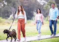 The Dog House Australia