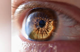 The Great Questions of Philosophy and Physics: Can Physics Explain Reality?