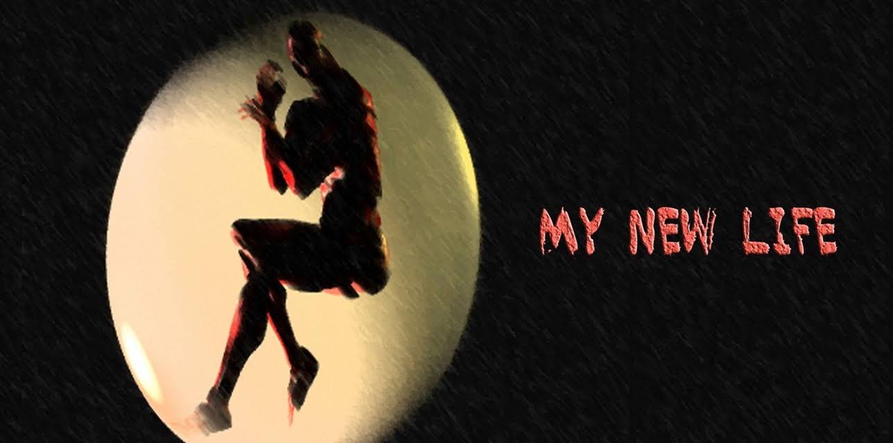 My New Life (2010)