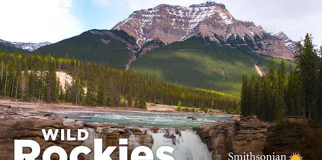 Wild Rockies