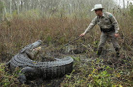 Lone Star Law: Episode 8