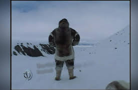 Survivorman: Season 1: Arctic