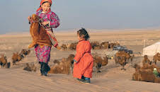 Mongolei, immer auf Achse