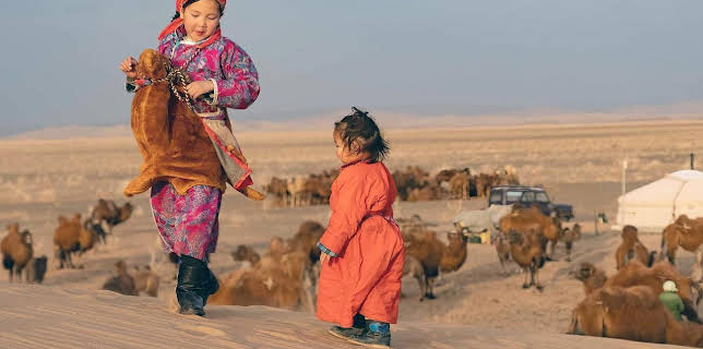 05:05: Mongolei, immer auf Achse | Arte | 11/4 2025