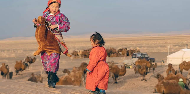 Mongolei, immer auf Achse