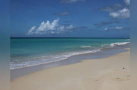 Escape to Paradise: The 300ft high zip wire