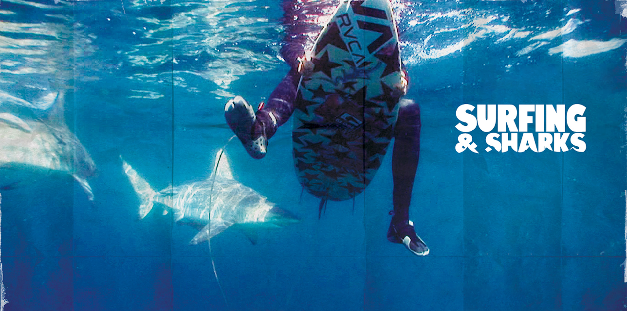 Surfing and Sharks (2012)