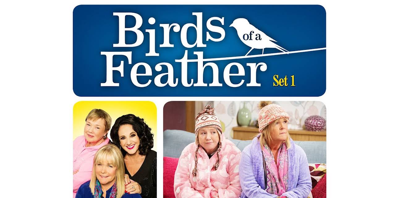 Birds of a Feather - Set 1