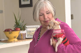 My Tiny Terror: Episode 1