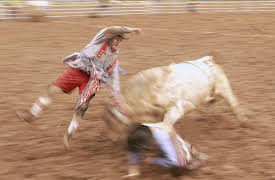 Risk Takers: Bull Fighters