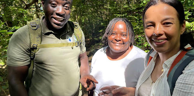 4:15 PM: Liz Bonnin's Wild Caribbean (S1) | BBC Two | 11/25 2025