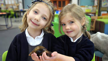 12:30 PM: Time for School (S4) | Cbeebies | 7/7 2026