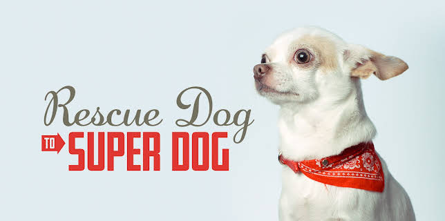 Rescue Dog To Super Dog Season 1