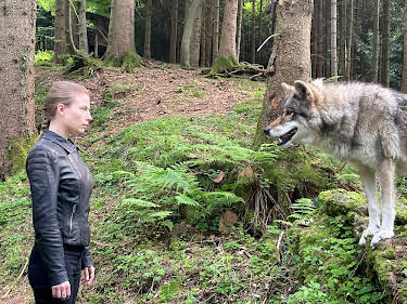 20:15: Die Toten vom Bodensee | 3SAT | 7/7 2026