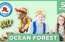 Scout and Gumboot Kids Series: Ocean Forest