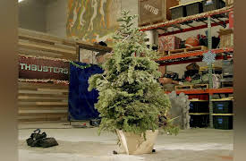 MythBusters Mini Myths: Christmas with a Bang