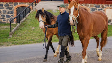 19:00: Svenska bönder (S1 E3) (S1) | TV3 | 2/22 2026